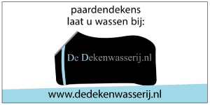 De Dekenwasserij_02